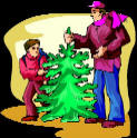 Find local Christmas tree farms here!